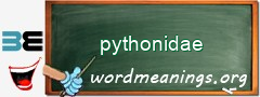 WordMeaning blackboard for pythonidae